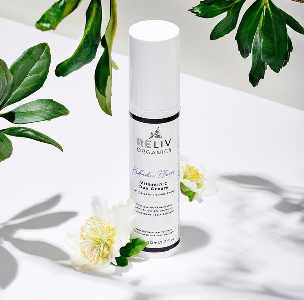 KAKADU PLUM VITAMIN C DAY CREAM