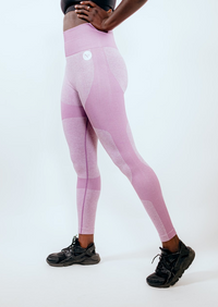 Seamless Two Tone Leggings