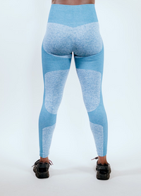 Seamless Two Tone Leggings