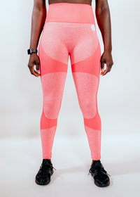 Seamless Two Tone Leggings