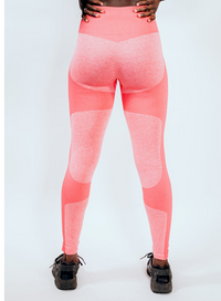Seamless Two Tone Leggings