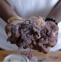 Premium Dried Sea Moss